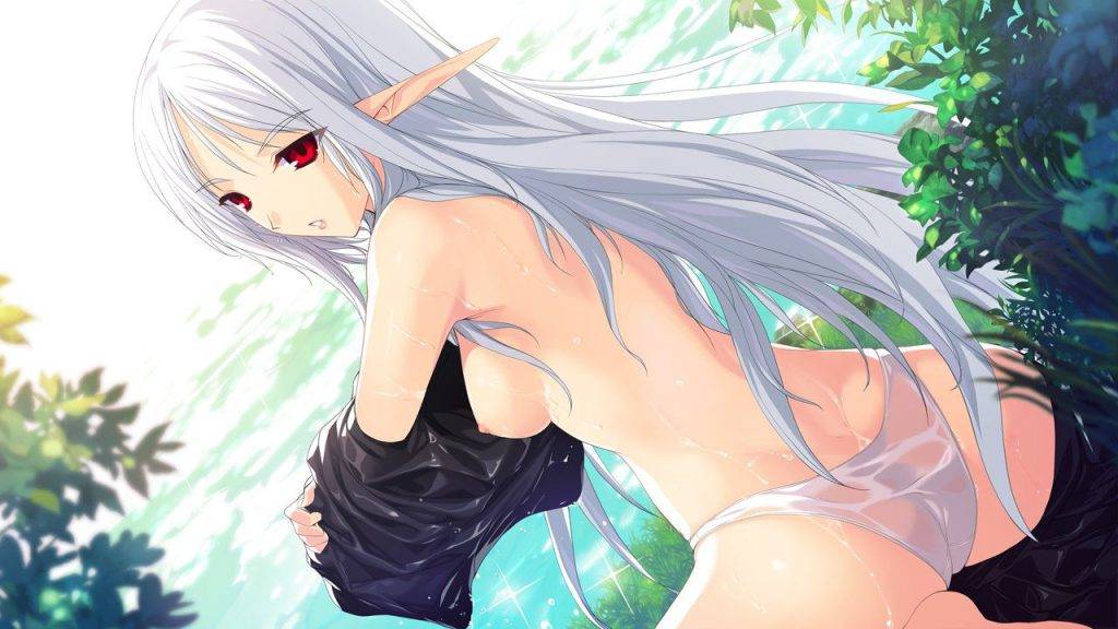 Girl with elf ears（Girl with elf ears）Hentai images&pics gallery 108