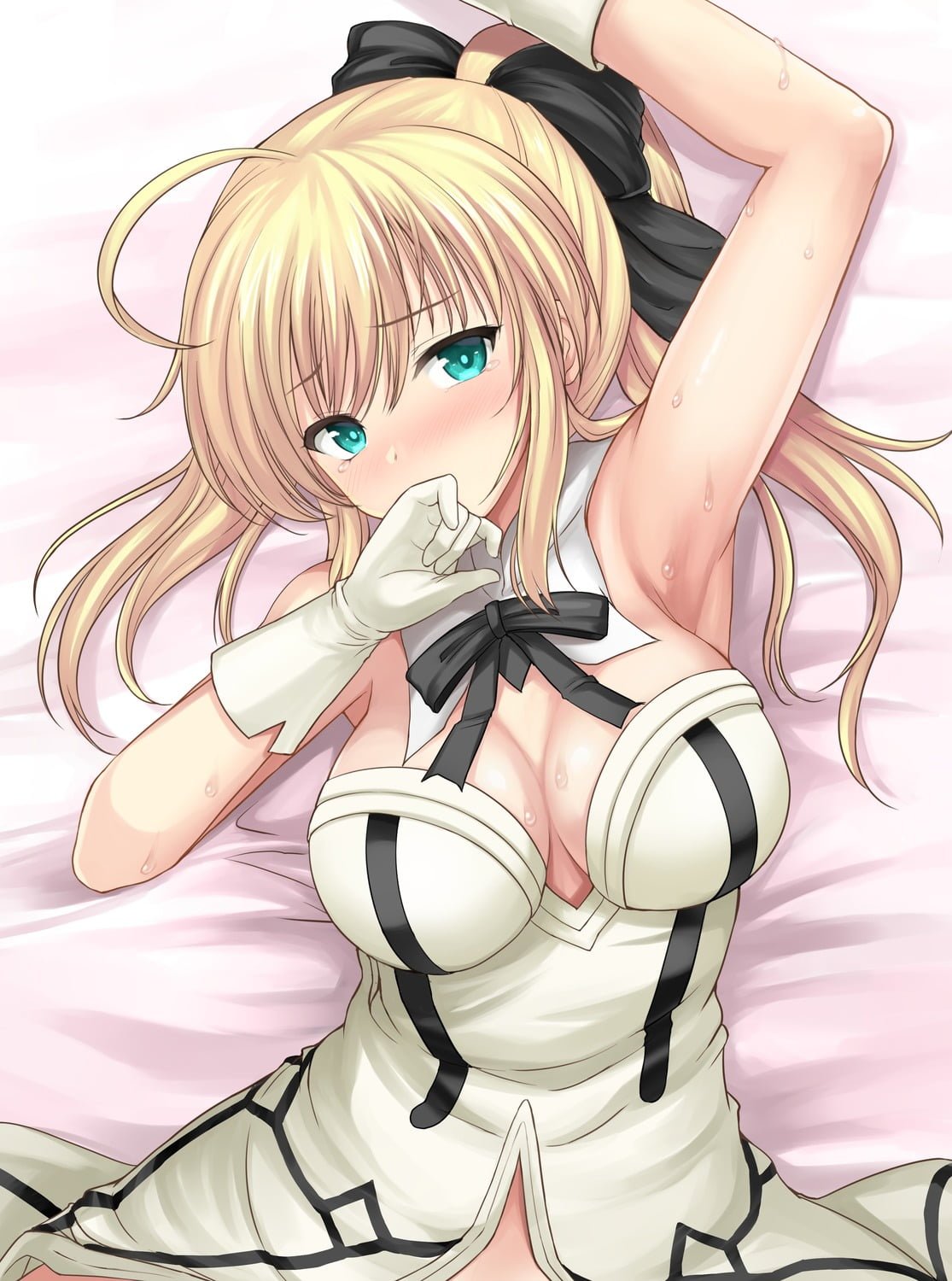 Saber Lily（fgo）Hentai images&pics gallery 13