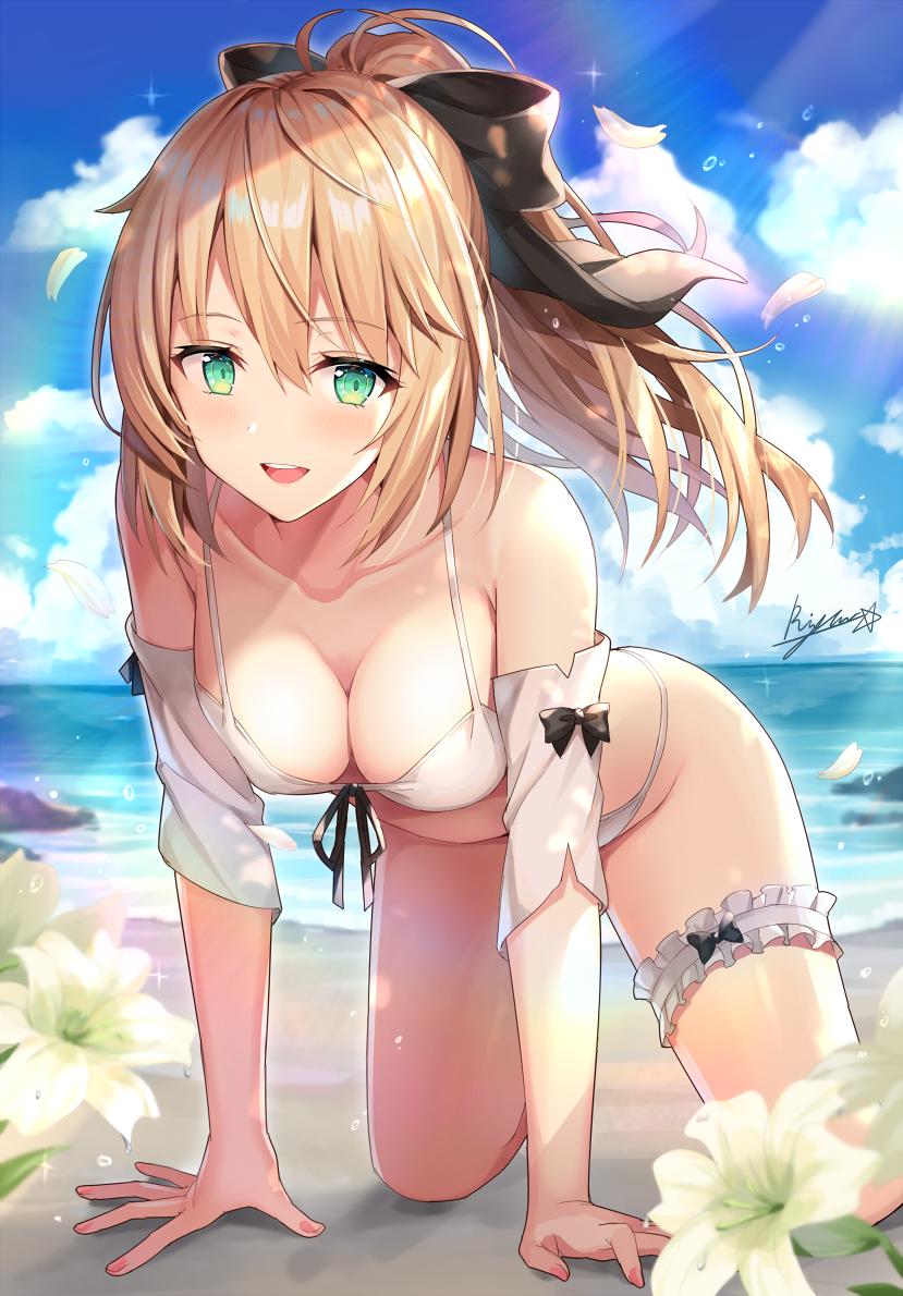 Saber Lily（fgo）Hentai images&pics gallery 14