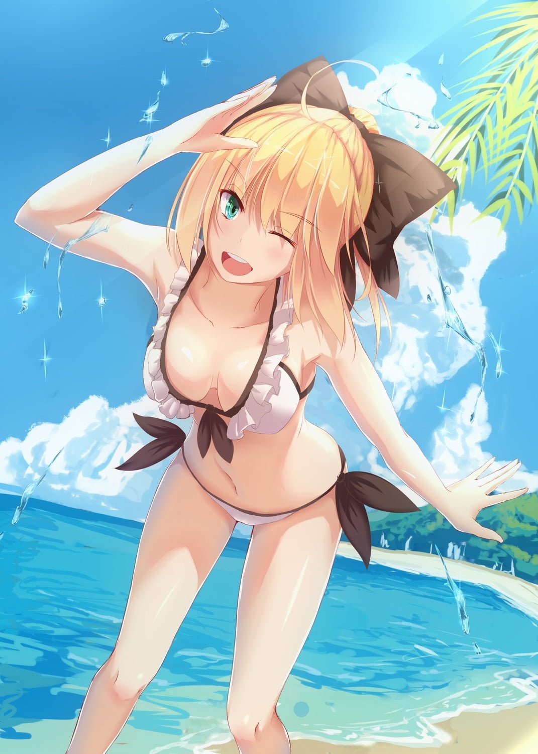 Saber Lily（fgo）Hentai images&pics gallery 12